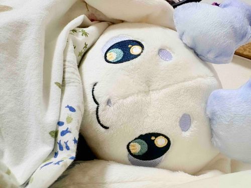 🥨🍚「聞いてください！お人間さん！ちょま今日すごい楽しいことあったんですよ！( *´꒳`* )」
