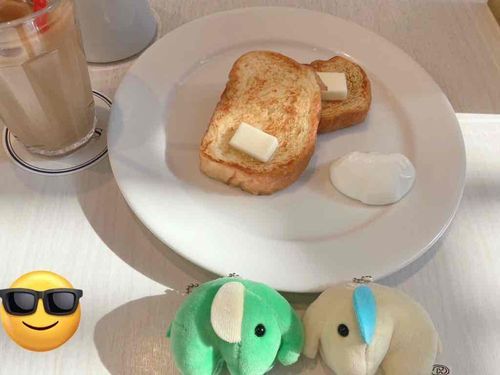 もうぬいぐるみ総合写真アカウントにしようかな…