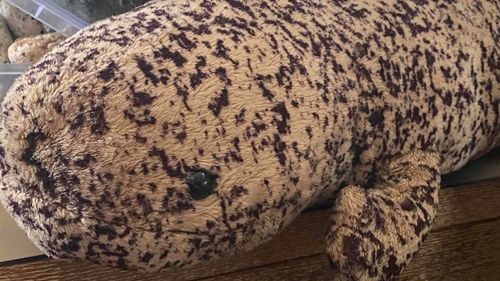 さんしょううおの しょうちゃん だよ
おうちに棲息しているよ
かわいいね