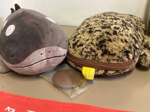 サンショウウオコンビだよ
ドオーちゃんと、さんちゃん。
