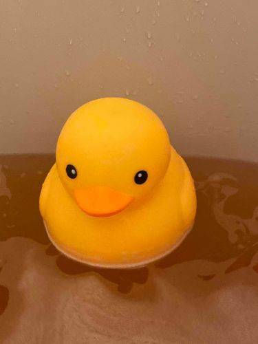 初入浴(水面の揺れですぐひっくり返る)