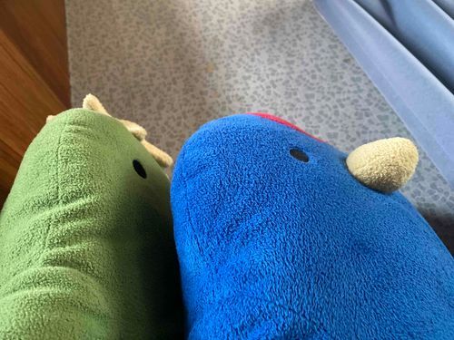 おはよ