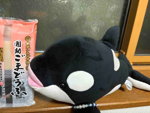 お土産です❒