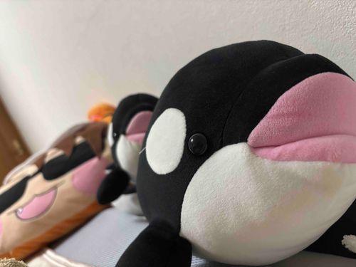 ゆっくりまったりおうち時間🏠
推しのクッションと共に😎