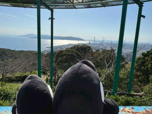 ごまおにの故郷の海が一望出来るところに来ました
綺麗だったねぇ