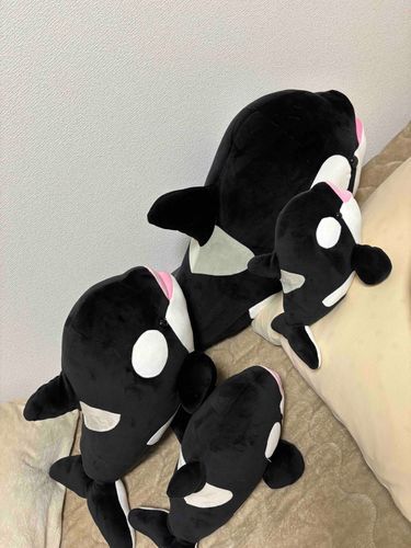 4匹揃いました…！
2等賞シャチのお名前は｢黒糖｣に決定しました！
全員男の子です！
これからもシャチの家族をよろしくお願いします！