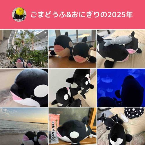 今年もたくさんの思い出をこの2匹と共に作ることが出来ました。
家族が増え、オレオとも同じ空間にいられるようになり、幸せでいっぱいです。
来年もよろしくお願いいたします。