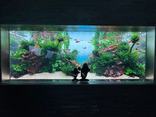 2日目はすみだ水族館に行きました！
こちらも平日だったので貸切のような写真を撮ることができました！
ごまおに2日間楽しかったかなぁ？また一緒にお出かけしようね！