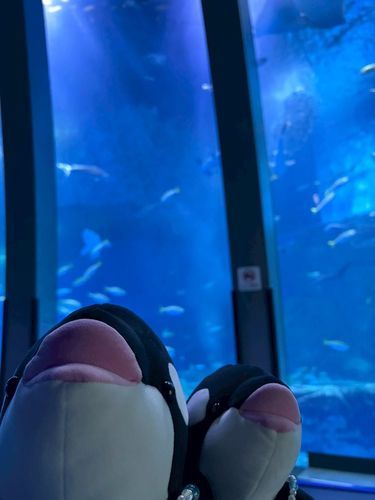 大水槽の前で正面からも！
楽しそうに笑ってます✨