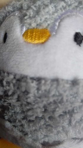 今日はペンギンさん！かわいいね！(*^▽^)/★*☆♪