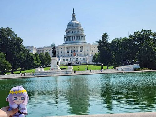 アメリカ、ワシントンD.C
アメリカ合衆国議会議事堂とぼく！