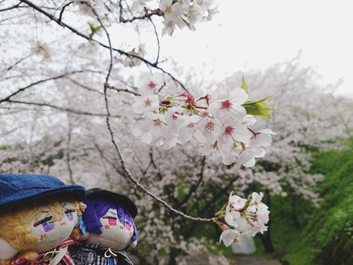 記念すべき 1枚目！！