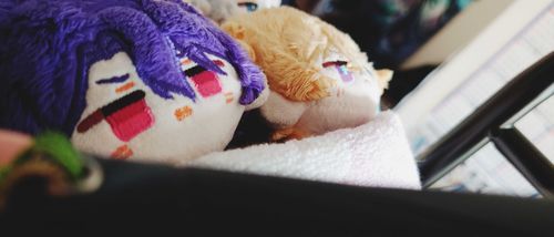 君は何を撮っているんだ？みたいな顔をされた｡おはようございます