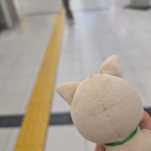 おでかけするワン🐾

ぼくにしっかりついてくるワン！！