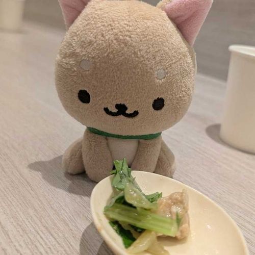 おやさいもたべなさいっておこられたワン…

