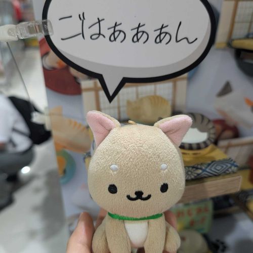 いってないワン。