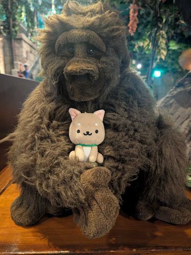 ｸｩﾝ…