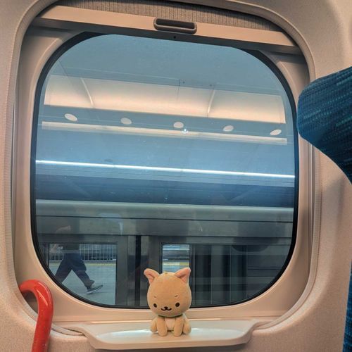 とりだめワン🐾

しんかんせん！はやくてかっこいいワン🐾

なんだかあしがはやくなったきぶんワン✨