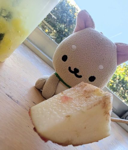 りんご飴🍎
あ〜んってしてもらったワン！🐾
