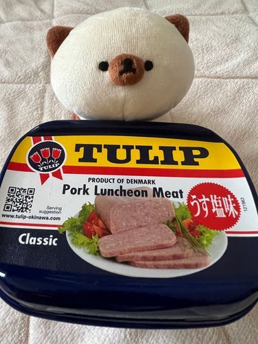 沖縄の子がこっちのスパムの方がおすすめって教えてくれたのででかいやつを買った