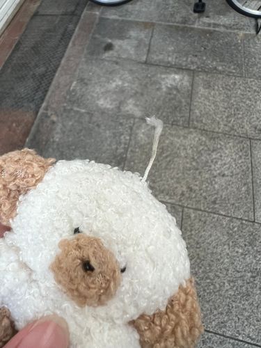 まぃご　なりかけ　た！
ぉぅち　かぇる！
