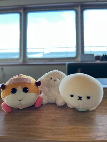 行きのフェリーは写真撮れてなくて……
