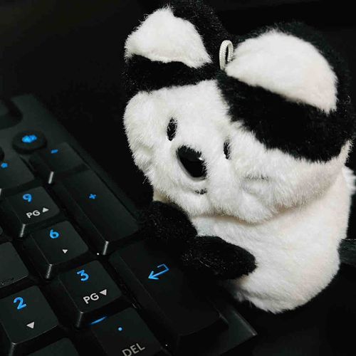作業のお供に置いたらすごくエンターキーを押してくれそうになった🐾