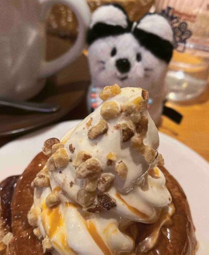 シロノワールをたべたよ🧁🐾