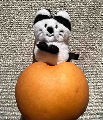 おおきななし🍐🐾
剥くの大変だったけどおいしかった！