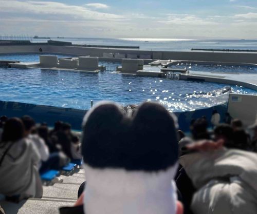 イルカさんを見にきたよ！🐾🐬