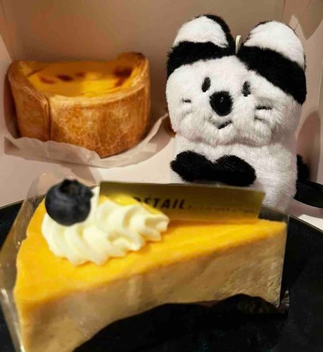 チーズケーキ🍰いっぱい食べちゃった🐾🐈