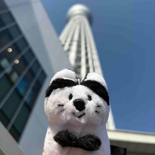 今回はスカイツリーの方に来てみたよ🐾🐈この前のところより高い！🗼