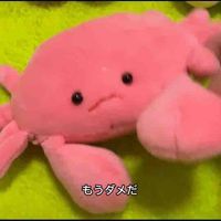 ぐーかに