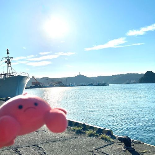 ｳﾐｷﾀﾖ
