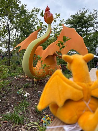 ポケパークの記録