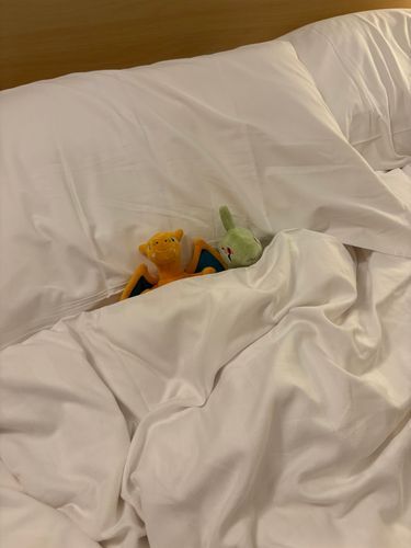 💤