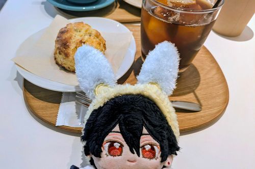 つけてみたかったそうです