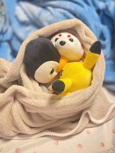 本当に寒いです 集まって暖をとっています
