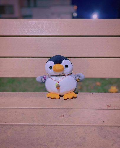 公園にお散歩に来ました。