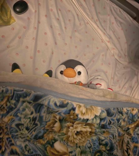 目が冴えて眠れません