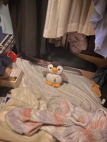 お部屋ぐちゃぐちゃでも、いいの
