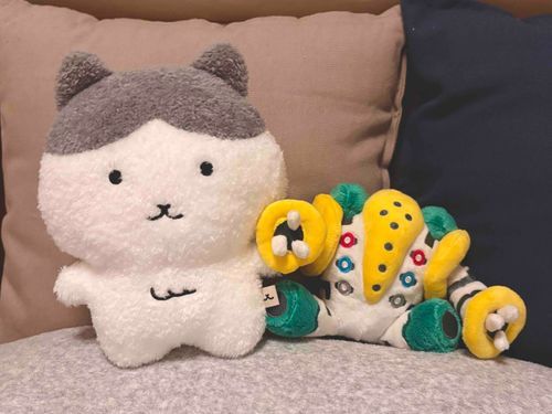 ハチワレちゃんに似た謎ねこが韓国からはるばるやってきてくれました

きみはだれ…？