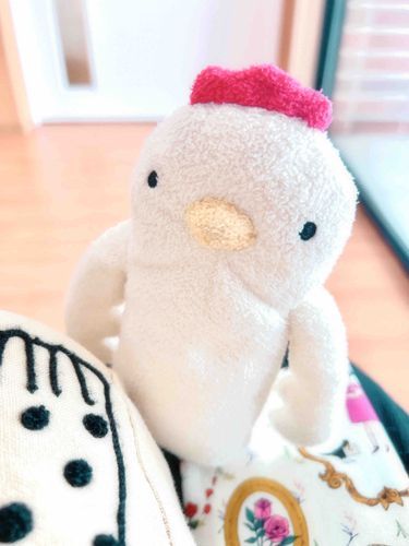 いつも一緒にいてくれるやさしいやさしいこっちゃん🐓