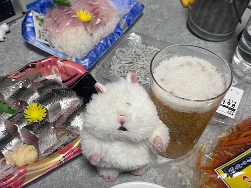ビールのんだ🍻
