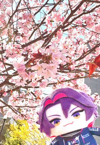 🌸☀️✨☺️❤︎