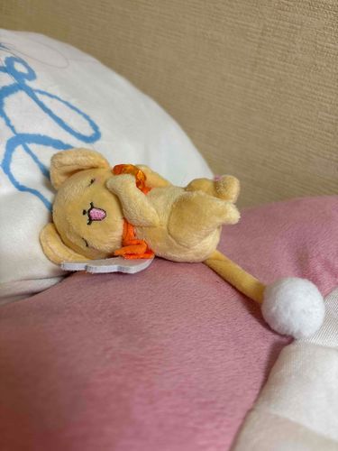 さいきん　でかけないから　いいしゃしんが　ないんやて