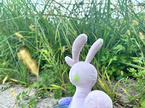 今日は ヌメイルさんの 故郷に 連れて行って もらったよ。ヌメイルさん なんだか うれしそう ！