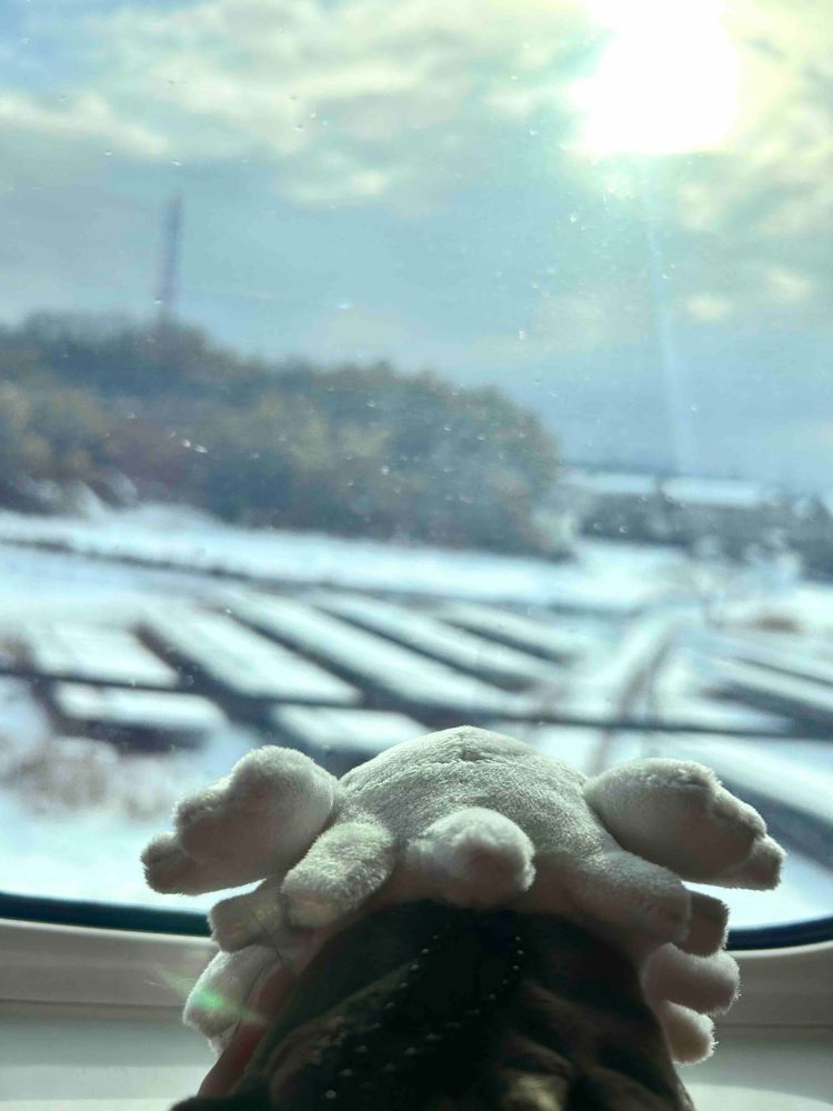 初めての 新幹線！
この時は まだ 雪が降ってる所も あったよ ！