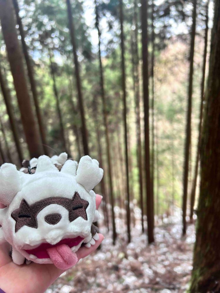とことこ 山登り