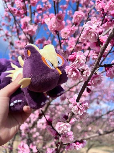 くんくん 春の 匂いだ！